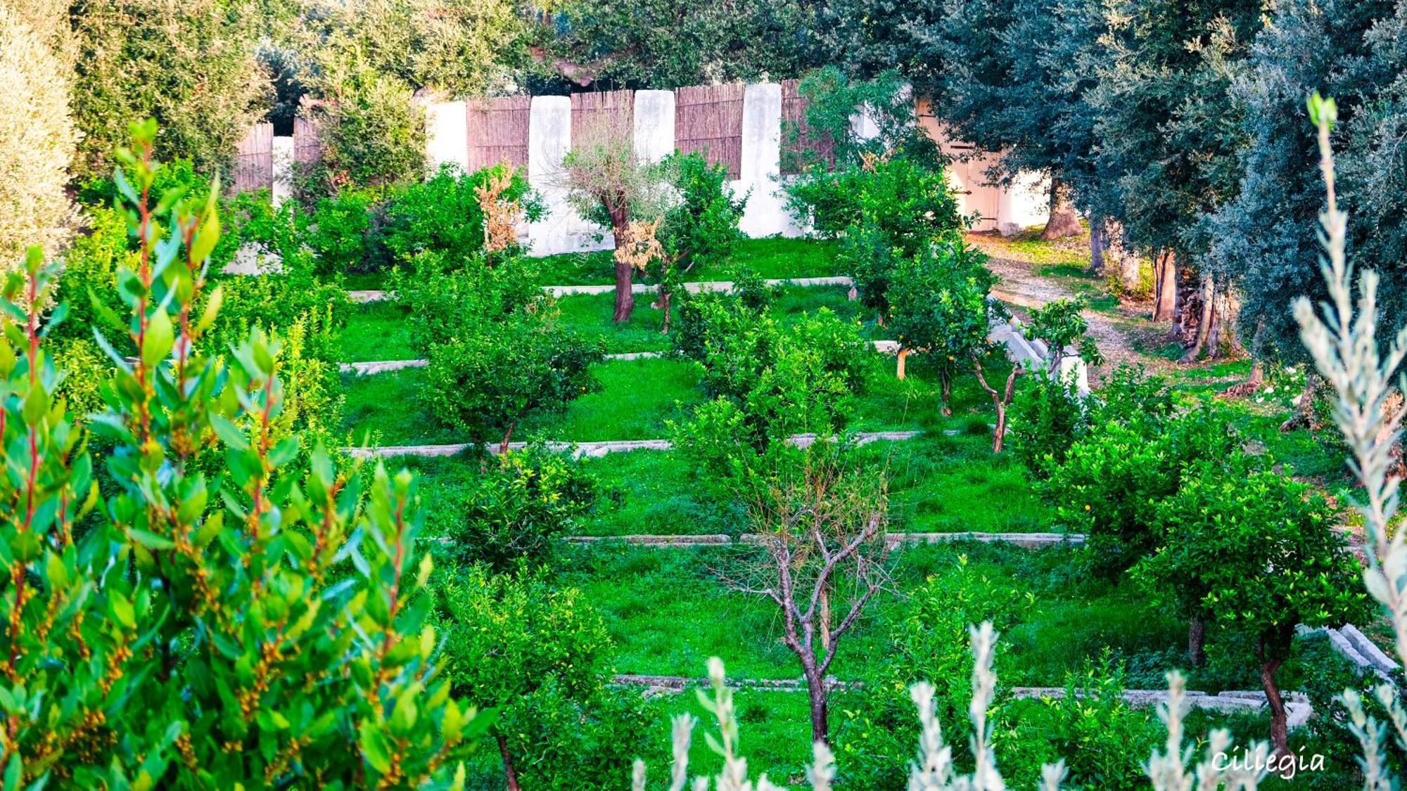 I Frangiventi Bed & Breakfast Роди Гарганико Екстериор снимка
